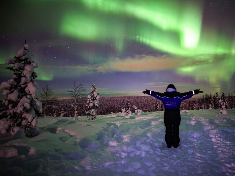 Rovaniemi: Northern Lights Wilderness Tour with Camera - The Experience of the Night