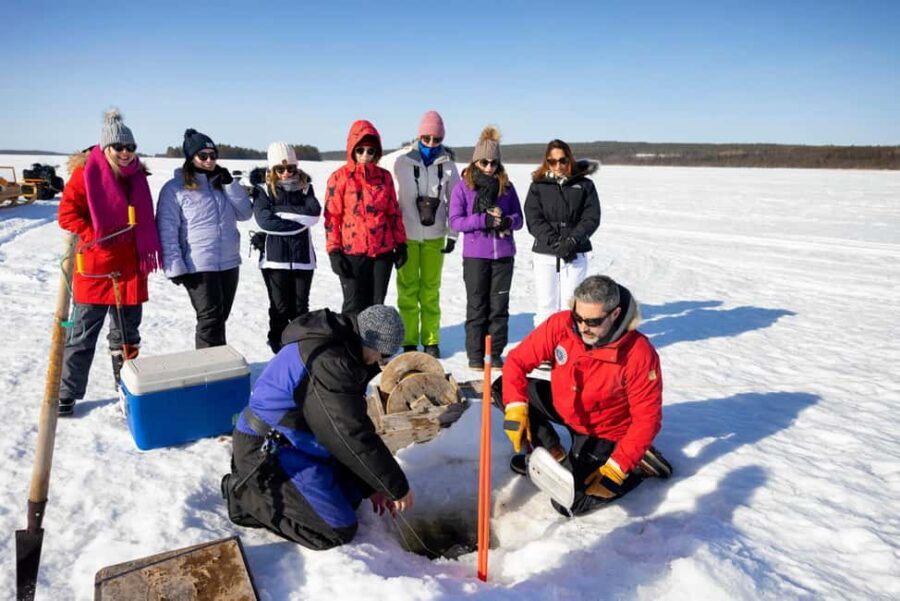 Rovaniemi: Posio Day Trip with Ceramics & Local Life - Visiting Miki Studio: Crafting with Nature