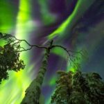 Rovaniemi: Private Aurora Adventure, Photos & Certificate - What Reviewers Say
