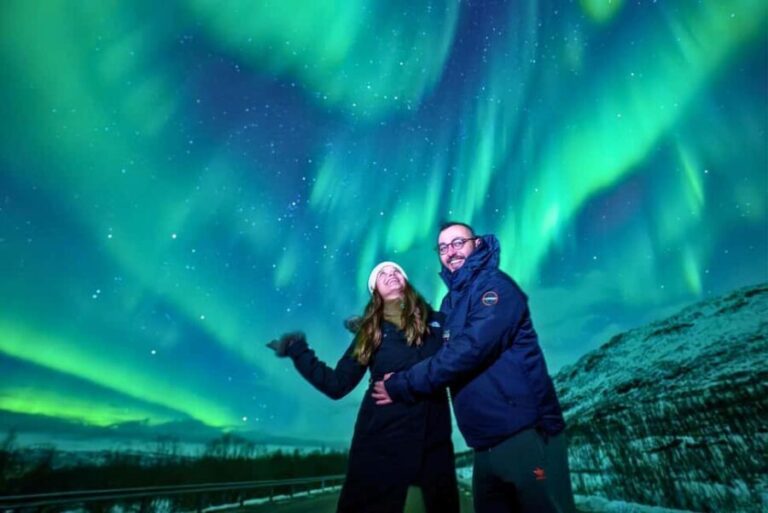 Rovaniemi: Private Northern Lights Tour VIP Van - The Logistics: How It All Fits