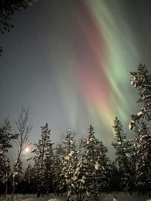Rovaniemi: Private Northern Lights Tour - Who Will Love This Tour?