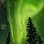 Rovaniemi: Private Self-drive husky sledding Aurora tour - Key Points