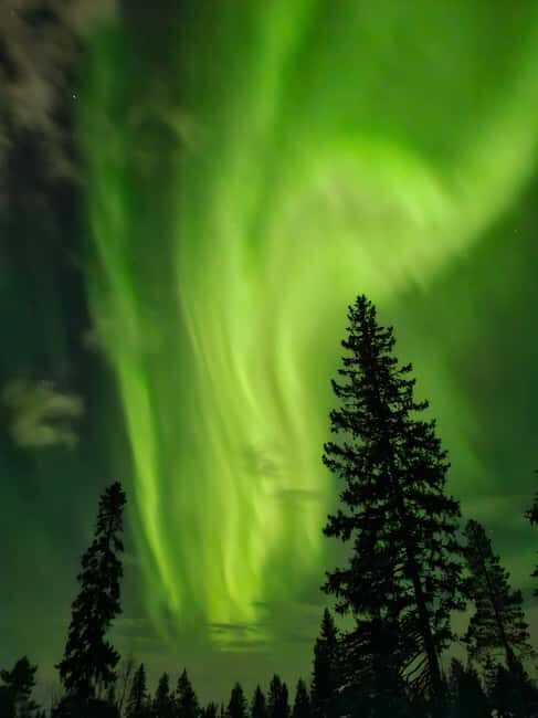 Rovaniemi: Private Self-drive husky sledding Aurora tour - Key Points