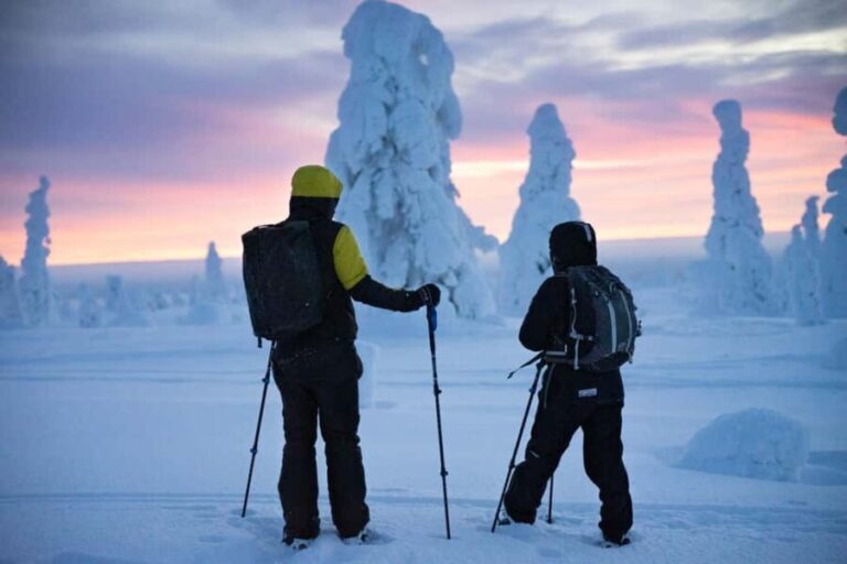 Rovaniemi: Private Snowshoeing and Ice Fishing Tour - Price and Value