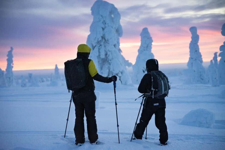 Rovaniemi: Private Snowshoeing and Ice Fishing Tour - Price and Value