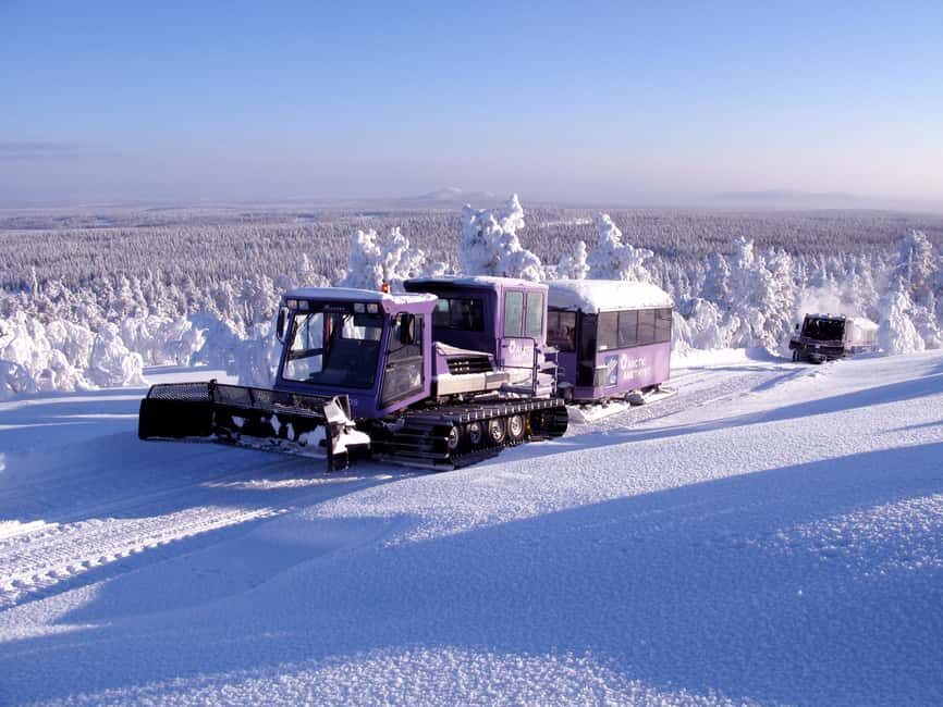 Rovaniemi: Pyhä-Luosto National Park Amethyst Mining Tour - Who This Tour Is Best For