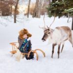 Rovaniemi: Reindeer Farm Tour with Sledge Ride & Pickup - Is It Worth the Price?