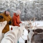 Rovaniemi: Reindeer Farm Visit and Sleigh Ride with transfer - Final Thoughts: Is This Tour for You?