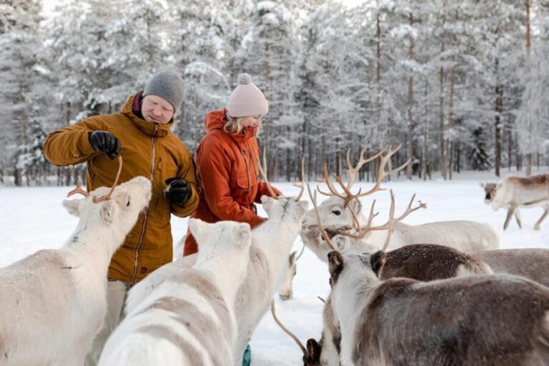 Rovaniemi: Reindeer Farm Visit and Sleigh Ride with transfer - Final Thoughts: Is This Tour for You?
