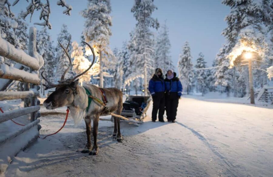 Rovaniemi: Reindeer Farm Visit with Sleigh Ride & Snacks - Who Should Consider This Tour?
