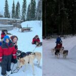 Rovaniemi: Reindeer & Husky Safari with Lunch - Final Thoughts
