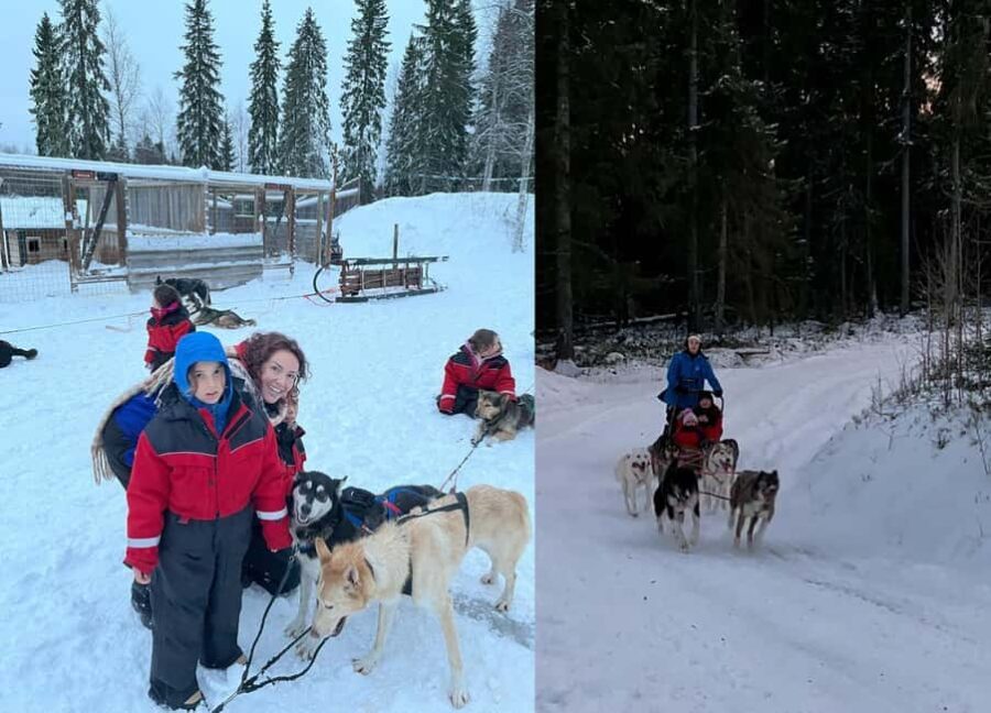Rovaniemi: Reindeer & Husky Safari with Lunch - Final Thoughts