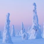 Rovaniemi: Riisitunturi Full-Day Wilderness Adventure & BBQ - Value and Who It’s Best For