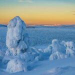 Rovaniemi: Riisitunturi Guided Hike with Photography - Final Thoughts