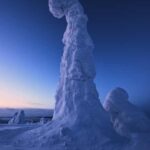 Rovaniemi: Riisitunturi Hike with Local Guide and Photograph - What Makes This Tour Stand Out?