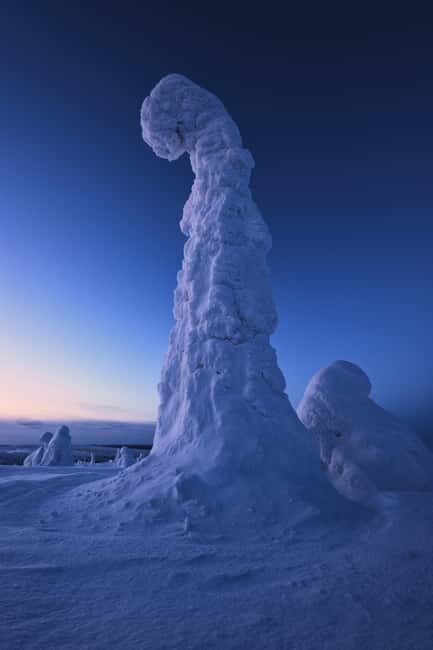 Rovaniemi: Riisitunturi Hike with Local Guide and Photograph - What Makes This Tour Stand Out?