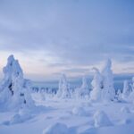 Rovaniemi: Riisitunturi National Park Day Trip with Lunch - Final Thoughts: Who Is This Tour For?