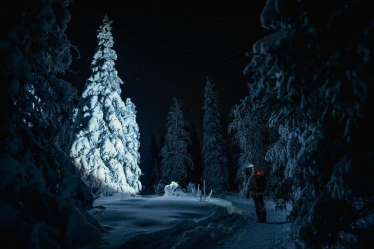 Rovaniemi: Riisitunturi National Park Night Photography Tour - Detailed Breakdown of the Itinerary