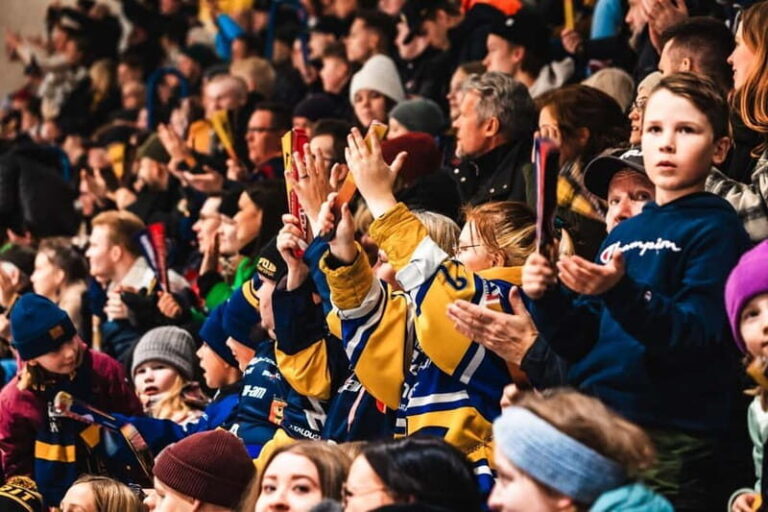 Rovaniemi: RoKi Hockey Ice Hockey Tickets - The Experience in Detail