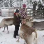 Rovaniemi: Saami Reindeer Farm Visit & Sleigh Ride - Is It Worth It?