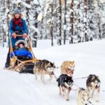 Rovaniemi: Santa Claus Village + Husky & Reindeer Sled Ride - Reindeer and Husky Sled Rides: The Heart of the Experience