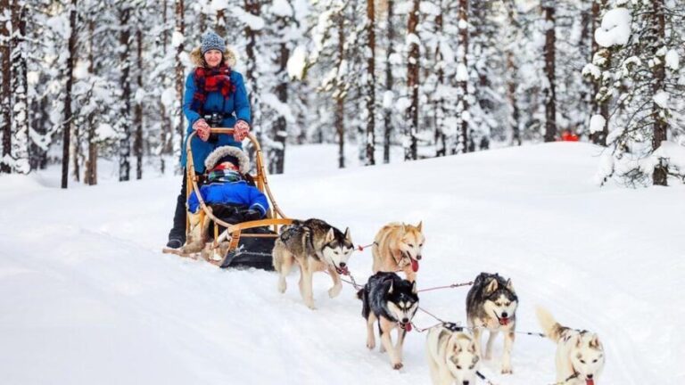 Rovaniemi: Santa Claus Village + Husky & Reindeer Sled Ride - Reindeer and Husky Sled Rides: The Heart of the Experience