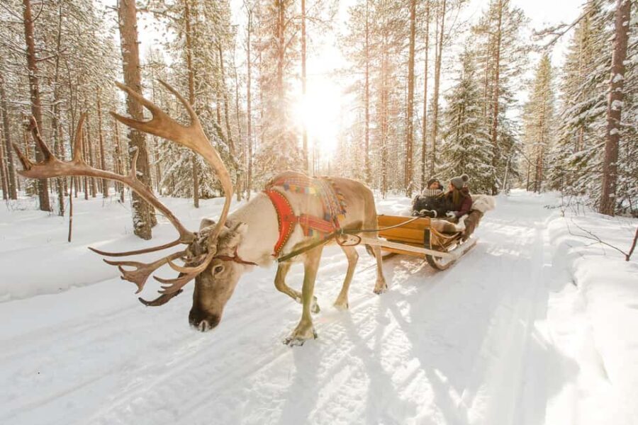 Rovaniemi: Santa Claus Village + Husky & Reindeer Sled Ride - The Practical Side: Price, Duration, and Group Size