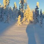 Rovaniemi Santa & Hidden Arctic  Village, Lunch & Nature - Into the Arctic Wilderness: Serenity and Authenticity
