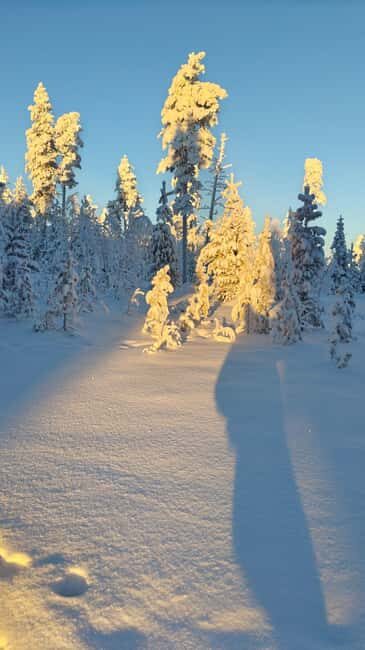 Rovaniemi Santa & Hidden Arctic Village, Lunch & Nature - Into the Arctic Wilderness: Serenity and Authenticity