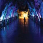 Rovaniemi: Santa Village & Santa Park Christmas Family Trip - Who Will Love This Tour?