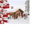 Rovaniemi: SantaPark and Santa Claus Village Day Tour - An Overview of the Tour