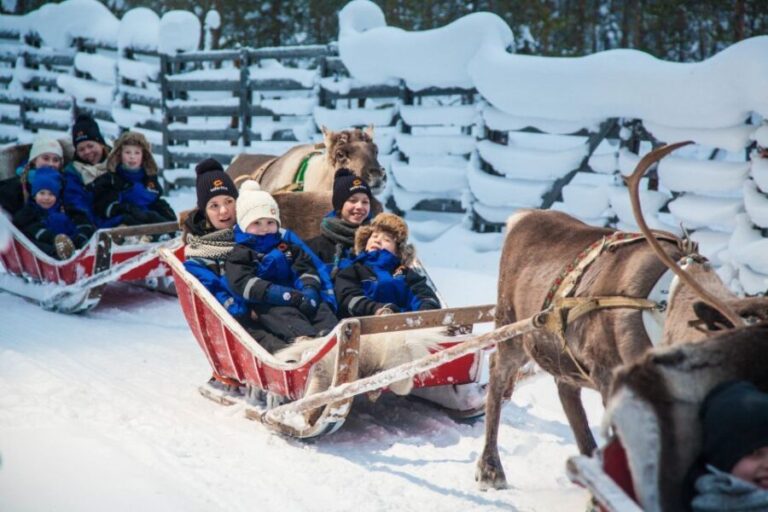Rovaniemi: Santas Village & Snowmobiling to Reindeer Farm - Setting the Scene: What to Expect from the Tour