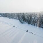 Rovaniemi: Self-Driving Husky Tour 7-kilometers - The Itinerary and Experience Breakdown