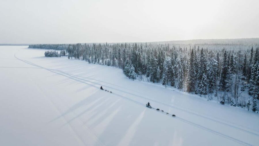 Rovaniemi: Self-Driving Husky Tour 7-kilometers - The Itinerary and Experience Breakdown