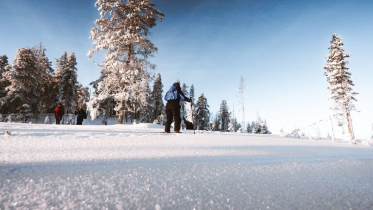 Rovaniemi: Ski Trekking Safari in Lapland - Who Is This Tour Best For?