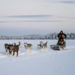 Rovaniemi: Small group Adults-Only 12-18km Husky Tour - The Practical Details: What You Need to Know