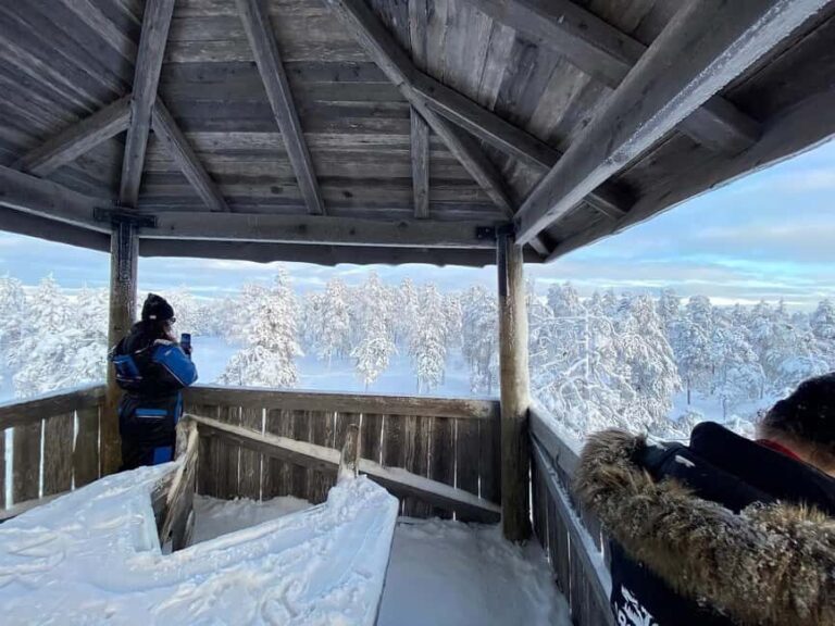 Rovaniemi: Small-Group Snowshoe Tour at Vikaköngäs & BBQ - The Journey: From Pickup to BBQ