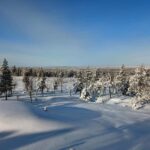 Rovaniemi: Snowcat Aurora Tour to a Lappish Hut with a View - What to Expect During the Tour