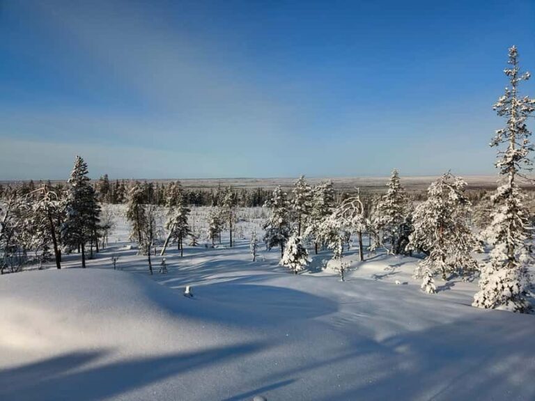 Rovaniemi: Snowcat Aurora Tour to a Lappish Hut with a View - What to Expect During the Tour