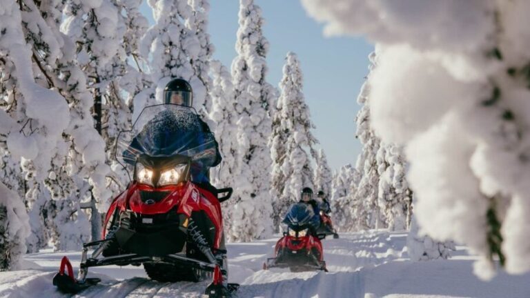 Rovaniemi: Snowmobile Adventure Tour for Adults Only - Pricing and Value