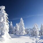 Rovaniemi: Snowmobile Safari Adventure - Why This Tour Stands Out