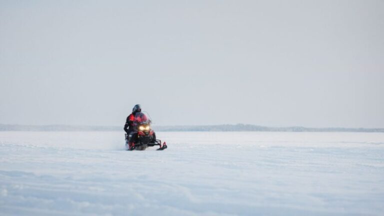 Rovaniemi: Snowmobile Safari in the Arctic Circle - The Sum Up