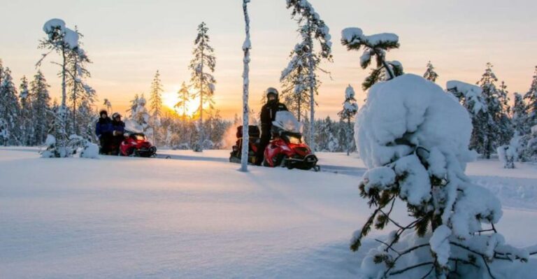 Rovaniemi: Snowmobile Safari to a Reindeer Farm - The Experience on the Ground
