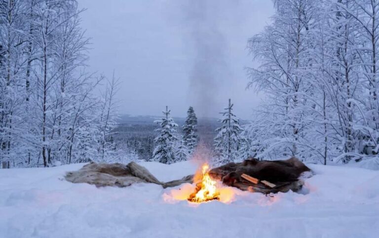 Rovaniemi: Snowmobile Sleigh Ride with Campfire Coffee - What Real Travelers Say