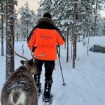 Rovaniemi: Snowshoe trip to meet reindeer - How Worth It Is the Price?