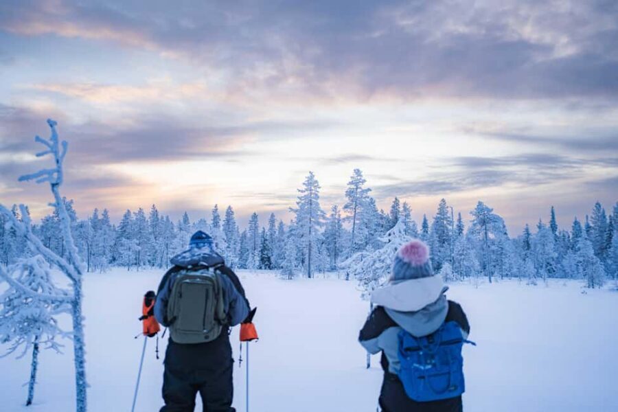 Rovaniemi: Snowshoe Wilderness Adventure - Who Should Consider This Tour?
