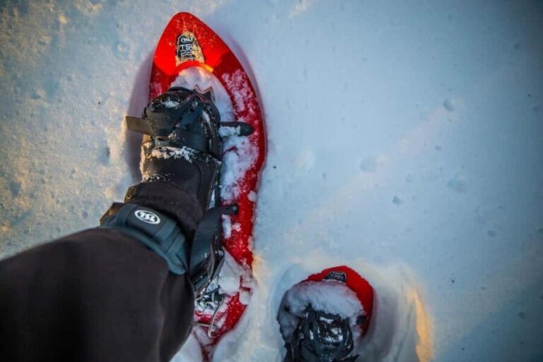 Rovaniemi: Snowshoeing Adventure with warm Drinks - The Practical Side: Details Matter