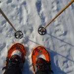 Rovaniemi: Snowshoeing Day Trip with Lunch - Pyhä-Luosto - What to Expect from the Snowshoeing Tour
