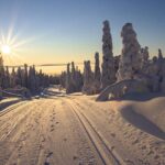 Rovaniemi: Snowshoeing, Ice Fishing and Salmon in Kota - What to Expect: A Step-by-Step Breakdown