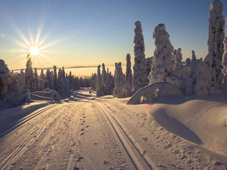 Rovaniemi: Snowshoeing, Ice Fishing and Salmon in Kota - What to Expect: A Step-by-Step Breakdown